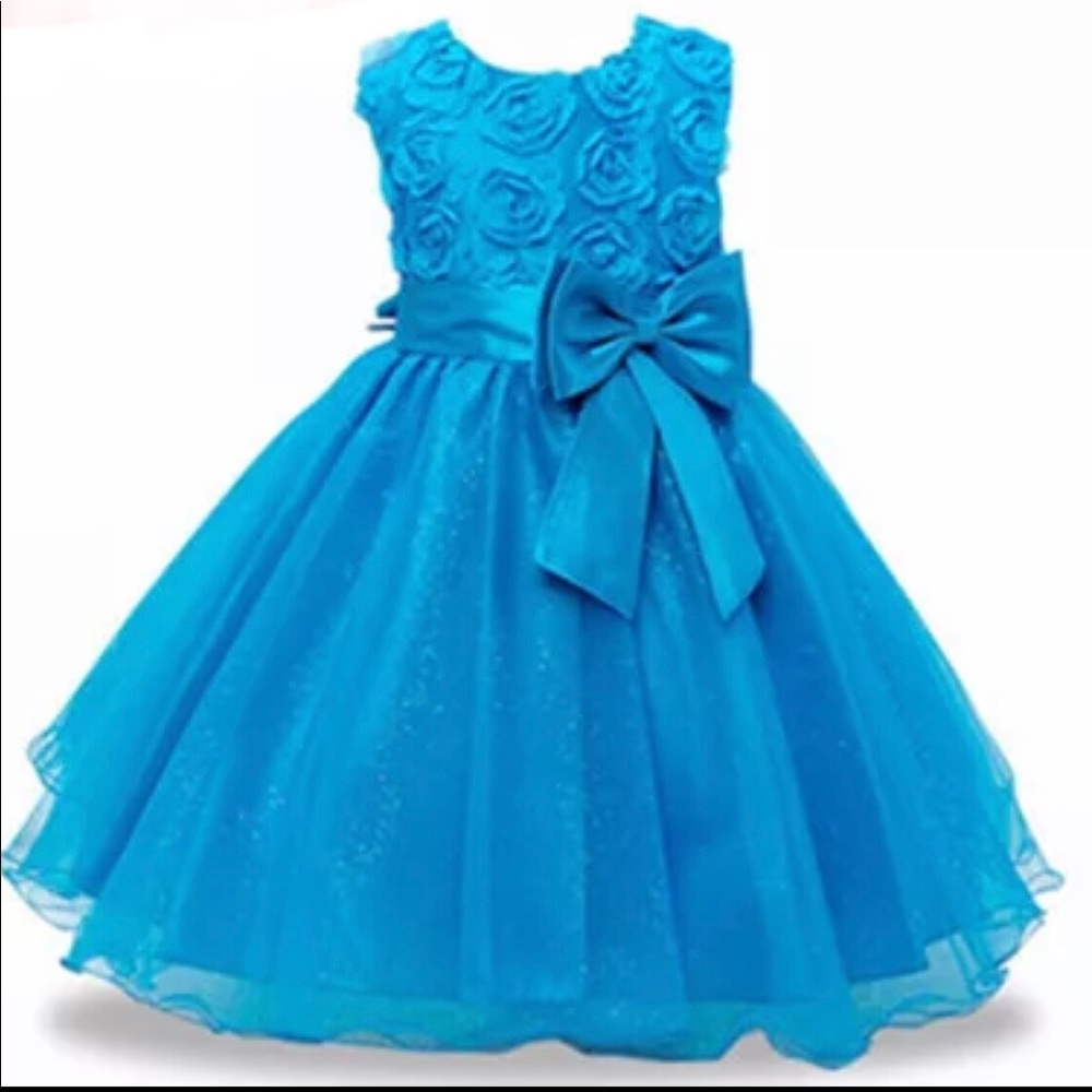 Girls Church or Holiday Dress